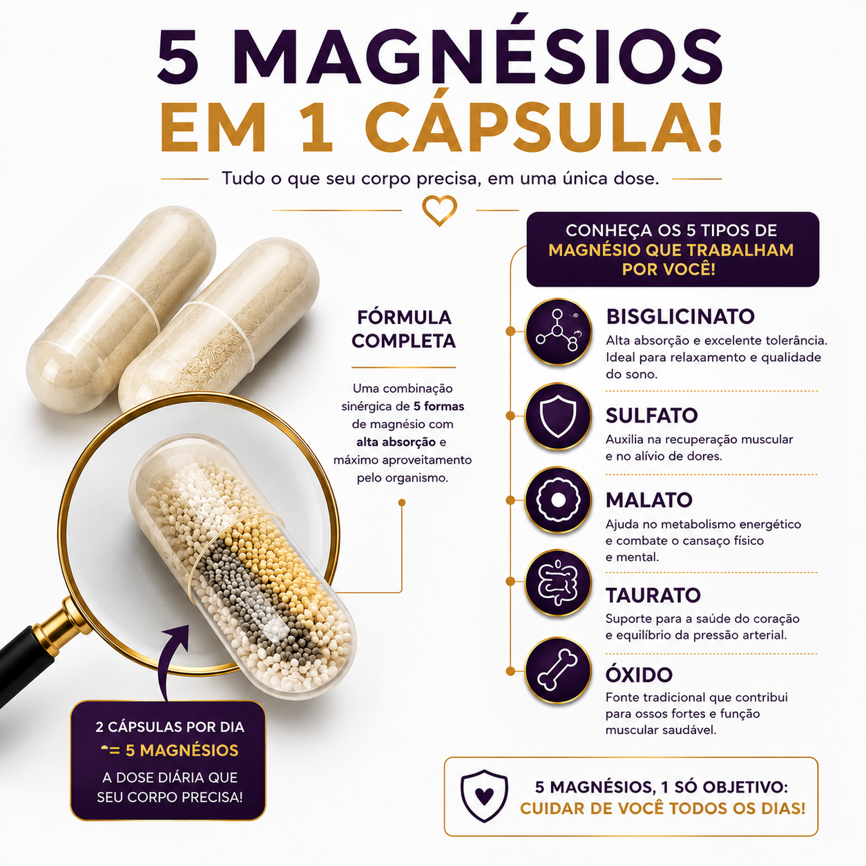 Complexo de Magnésio 5 em 1 – Alta Absorção com 60 Cápsulas
